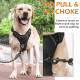PET PRODUCTS