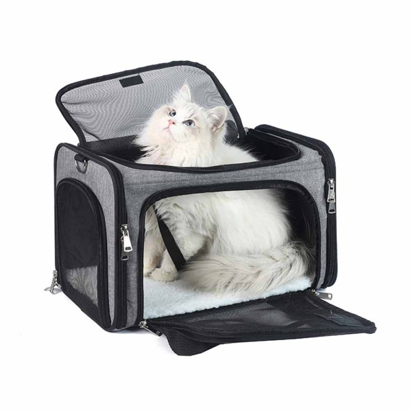 pet carrier product photography