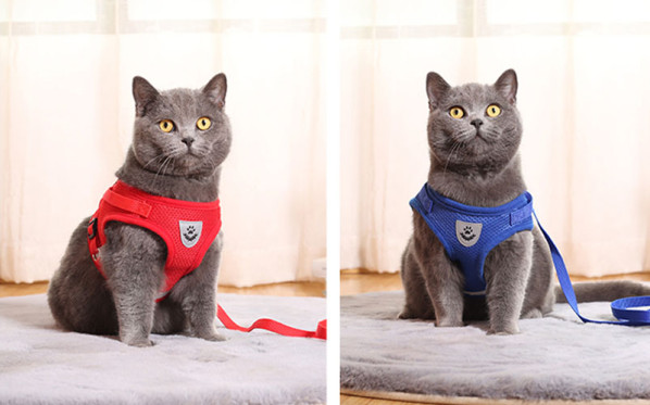 cat vest product photography