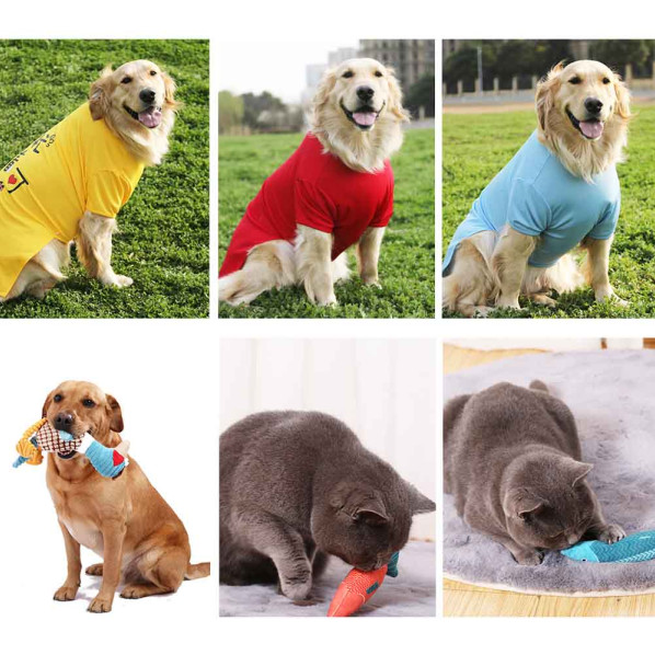 pet clothing product photography