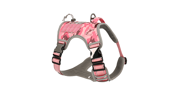 dog harness 360 product photography